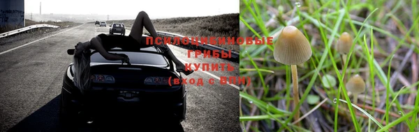 ALPHA-PVP Белокуриха