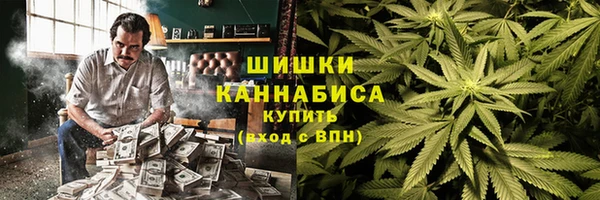 ПСИЛОЦИБИНОВЫЕ ГРИБЫ Беломорск