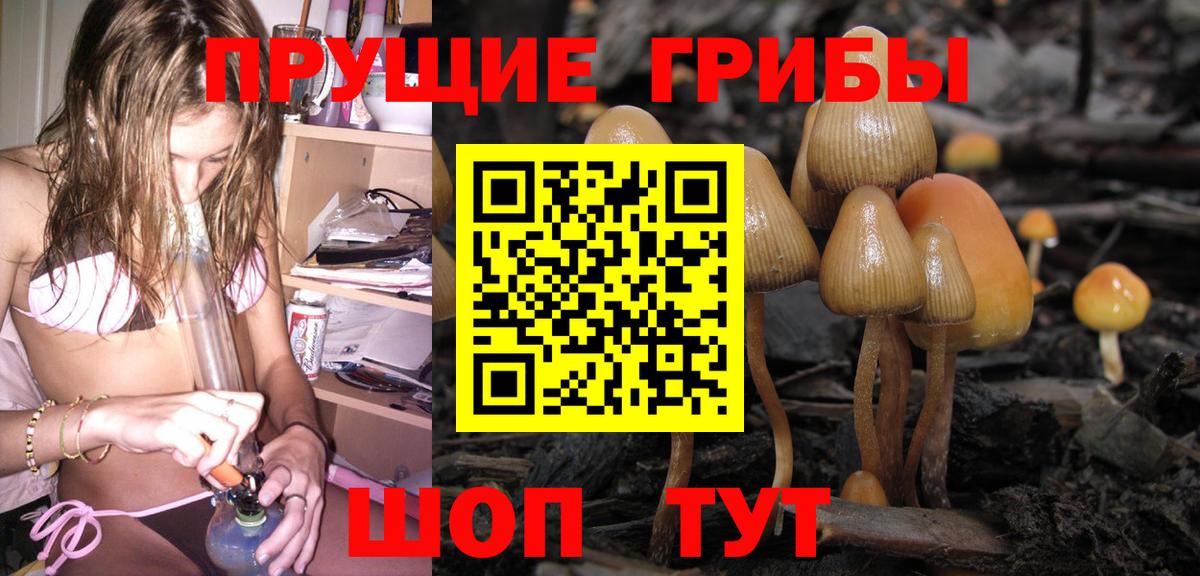 Галлюциногенные грибы мицелий Великий Устюг