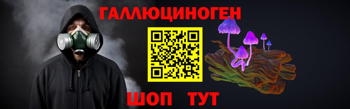 Псилоцибиновые грибы Psilocybine cubensis  Галлюциногенные грибы MAGIC MUSHROOMS  Вход с VPN  Великий Устюг 